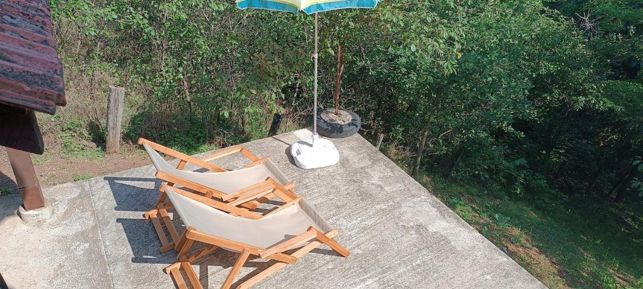 Willa Vikendica Ovcar Banja Čačak Zewnętrze zdjęcie